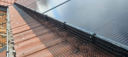 Preventing Pigeons From Attempting to Nest Under Solar Panels in Arnold