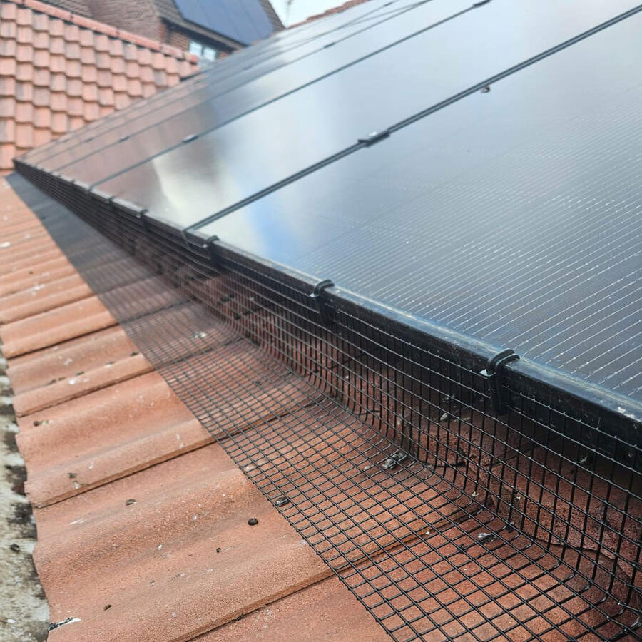 Preventing Pigeons From Attempting to Nest Under Solar Panels in Arnold