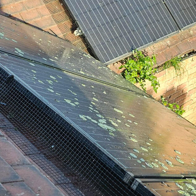 Pigeon Proofing Solar Panels In Beeston