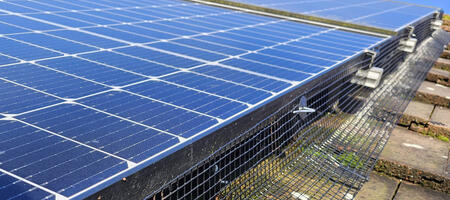 Protecting Solar Panels From Pigeons in Bestwood Village