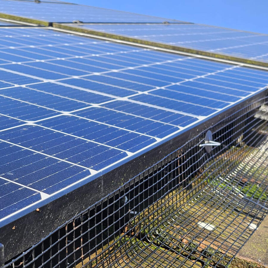 Protecting Solar Panels From Pigeons in Bestwood Village