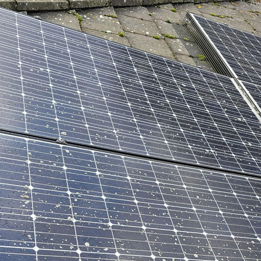 Pigeon Proofing Solar Panels in Bestwood Village