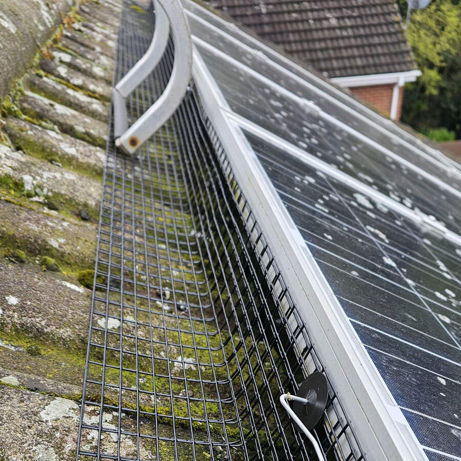 Pigeons Under Solar Panels in Bulwell