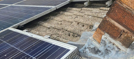 Preventing Pigeons From Nesting Under Solar Panels in Chesterfield
