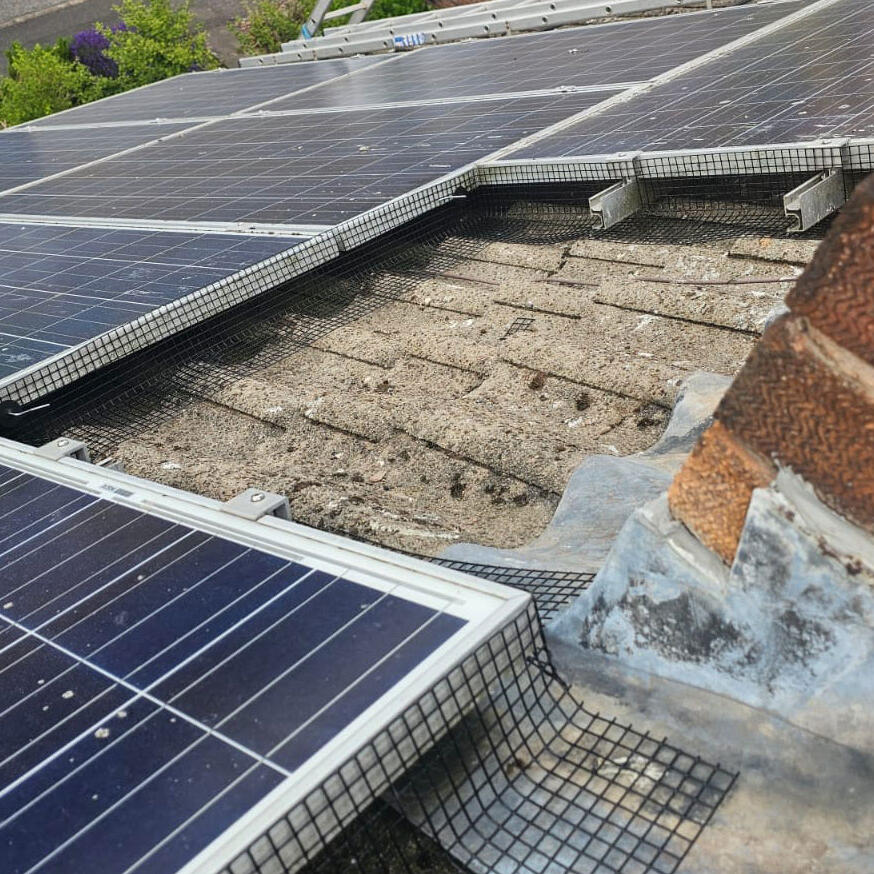 Preventing Pigeons From Nesting Under Solar Panels in Chesterfield