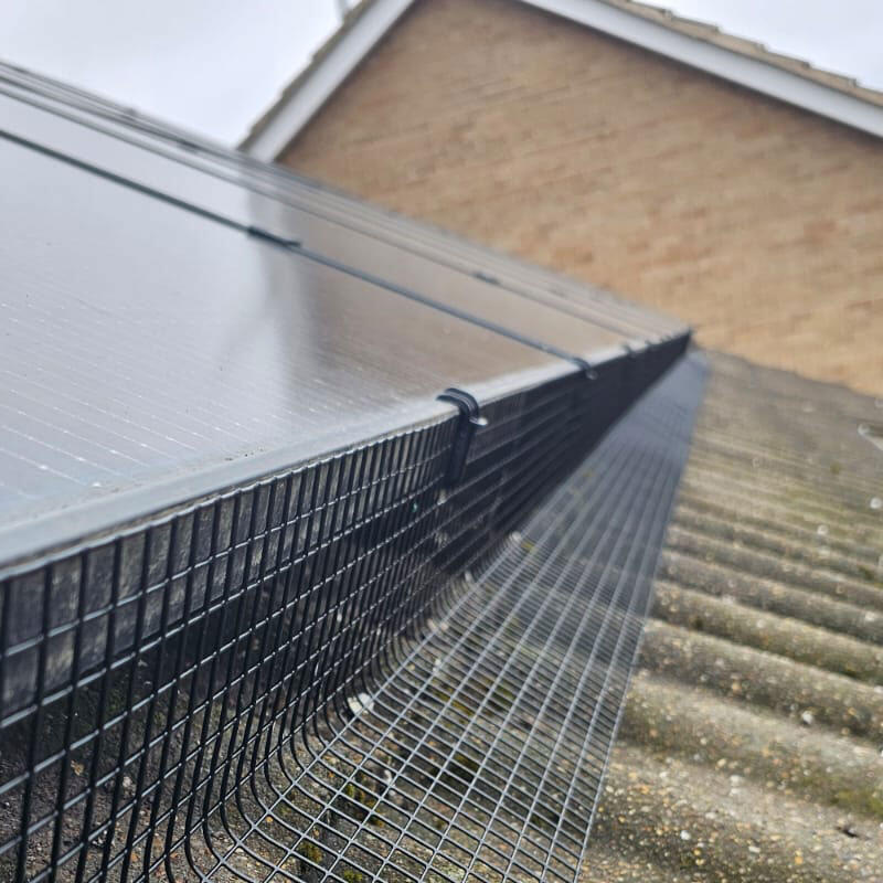 Protecting Solar Panels From Pigeons In Chesterfield