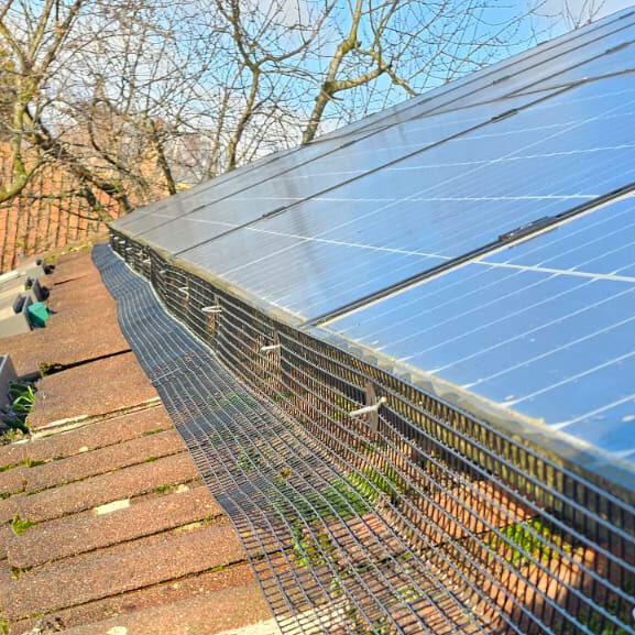 Pigeon Proofing Solar Panels in East Bridgford