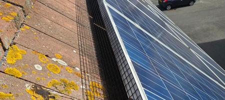 Protecting Solar Panels From Pigeons in East Leake