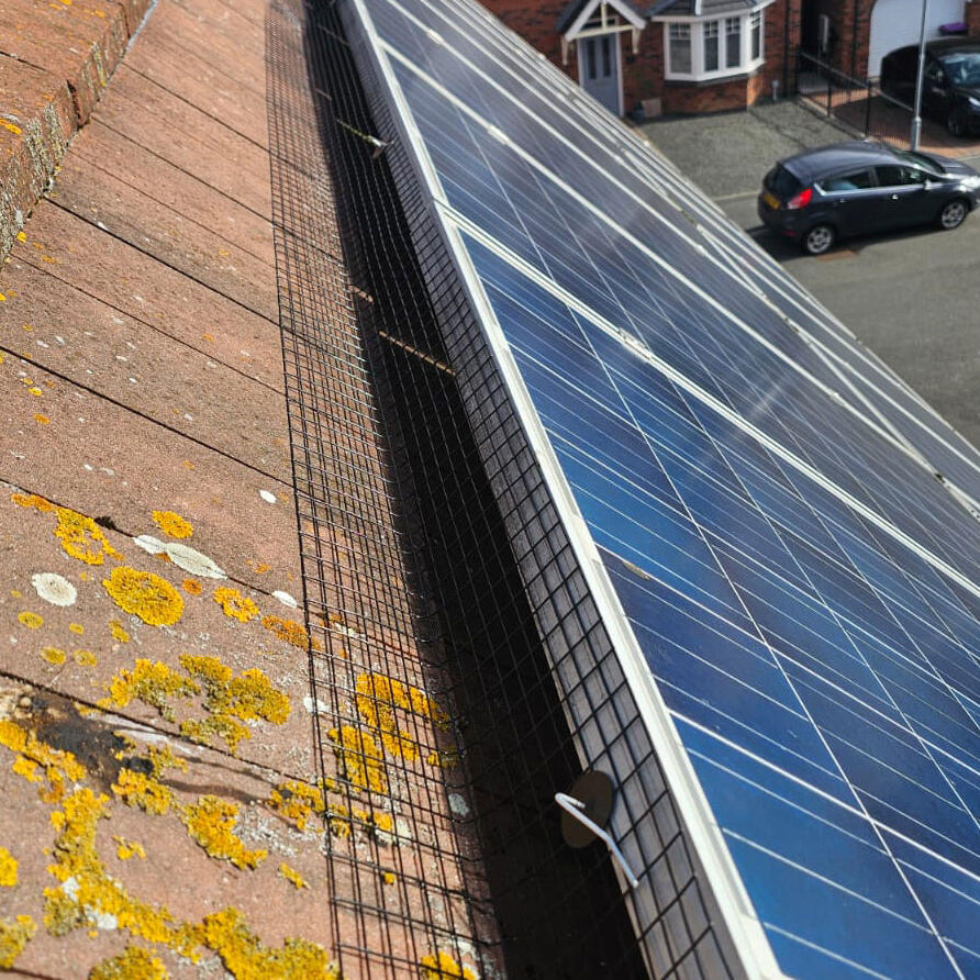 Protecting Solar Panels From Pigeons in East Leake