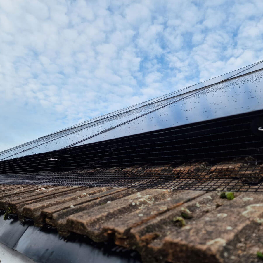 Solar Panels Protected from Pigeons in East Leake