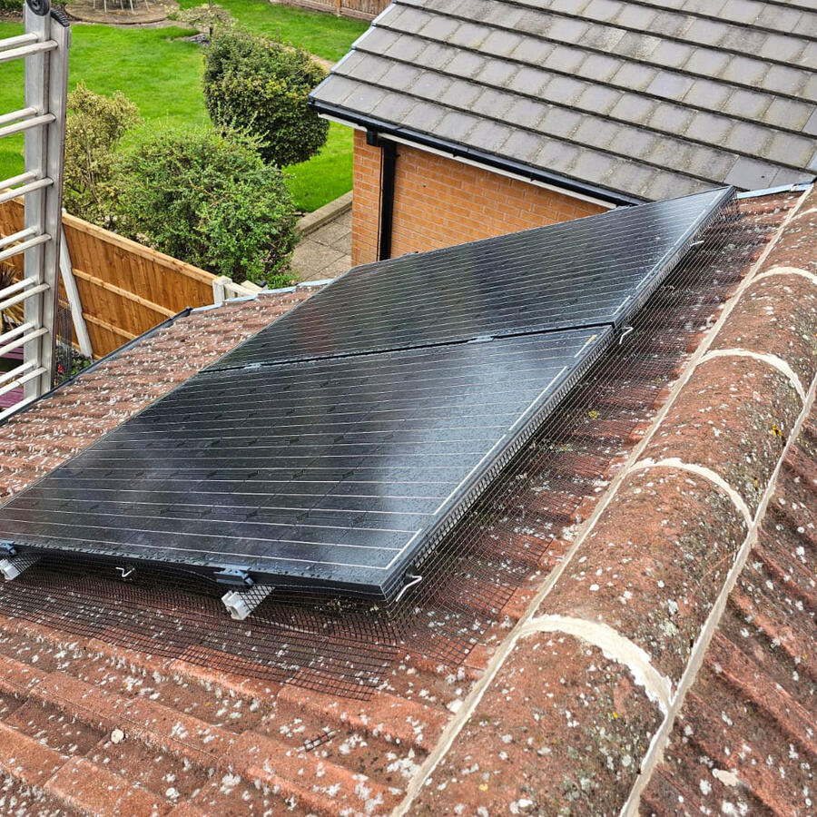 Preventing Pigeons From Nesting Under Solar Panels in Edwinstowe