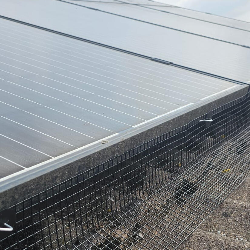 Protecting Solar Panels from Pigeons in Hucknall