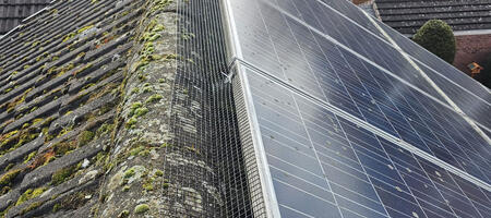 Pigeon Proofing Solar Panels in Ilkeston