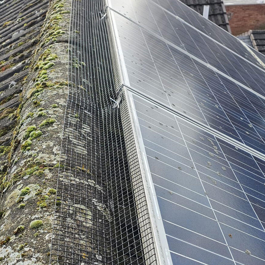 Pigeon Proofing Solar Panels in Ilkeston