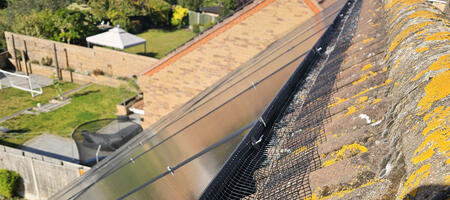 Protecting Solar Panels From Pigeons in Leicester