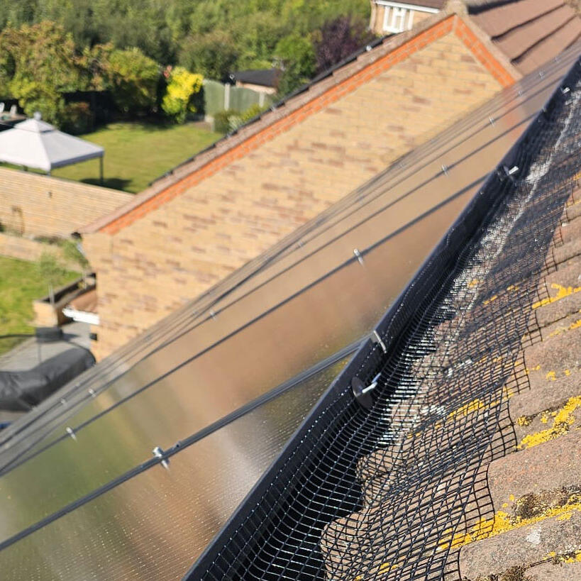 Protecting Solar Panels From Pigeons in Leicester