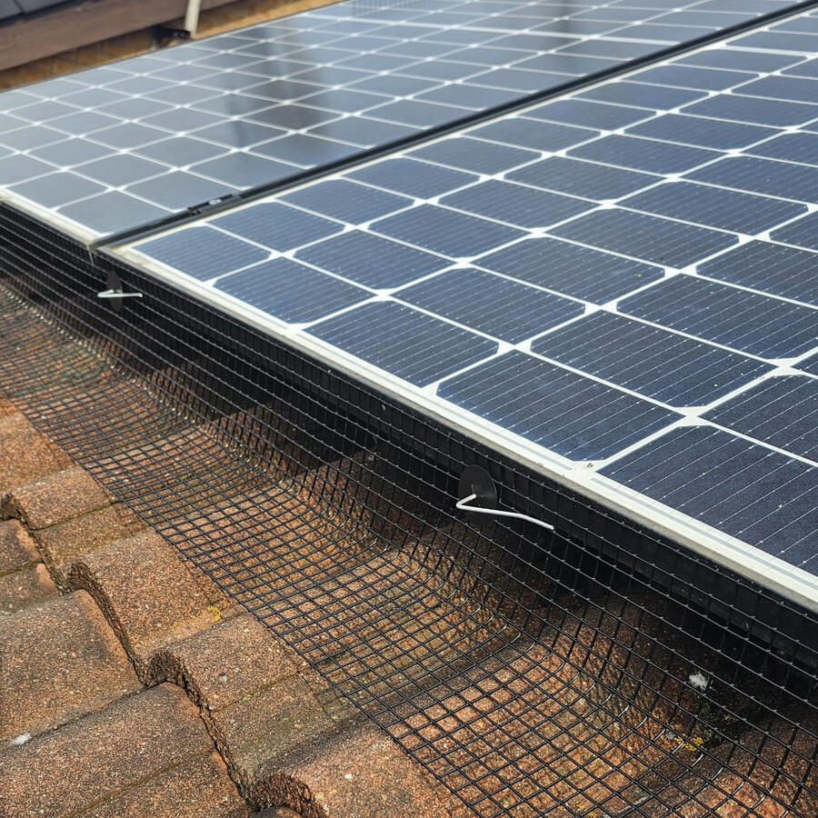 Protecting Solar Panels From Pigeons in Leicester