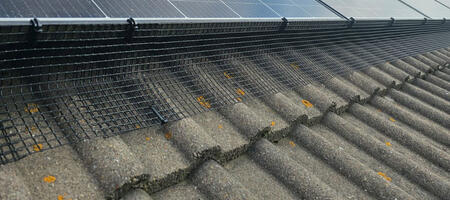 Preventing Pigeons From Nesting Under Solar Panels in Mansfield