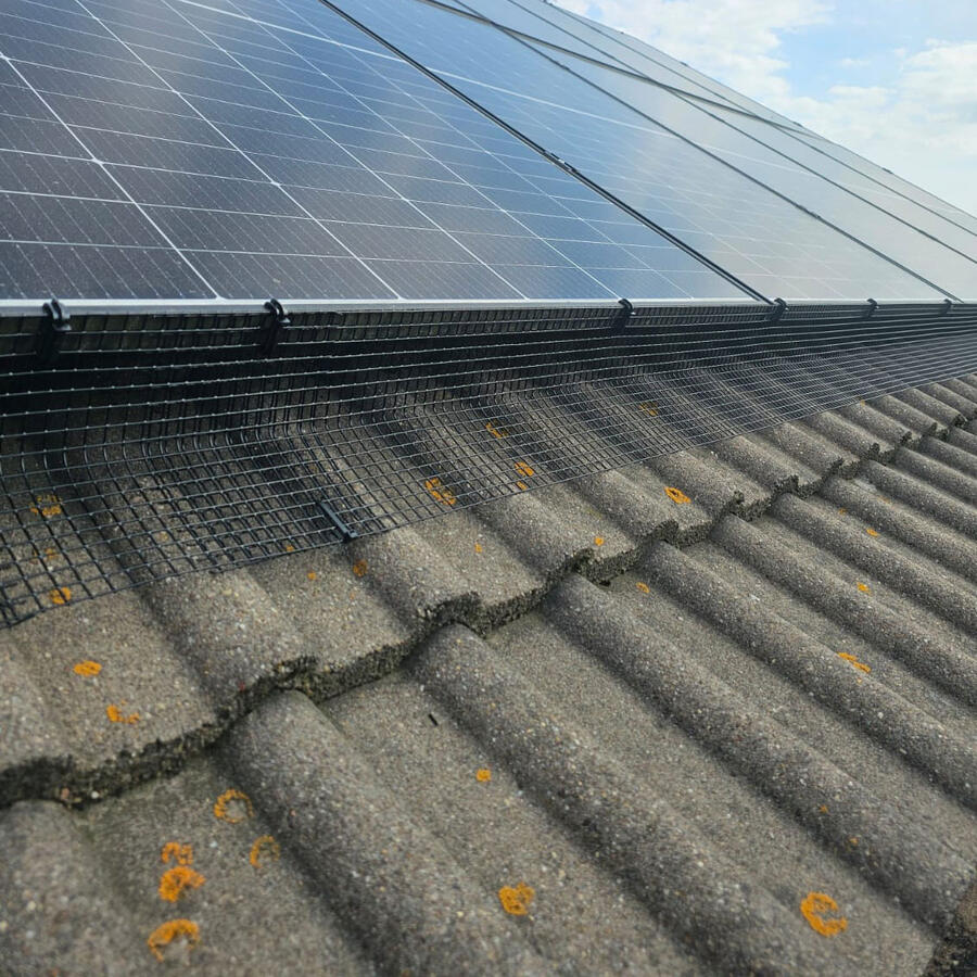 Preventing Pigeons From Nesting Under Solar Panels in Mansfield