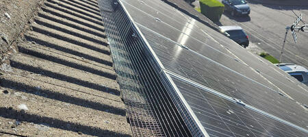 Pigeon Proofing Solar Panels in Mickleover