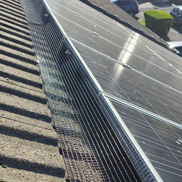 Pigeon Proofing Solar Panels in Mickleover