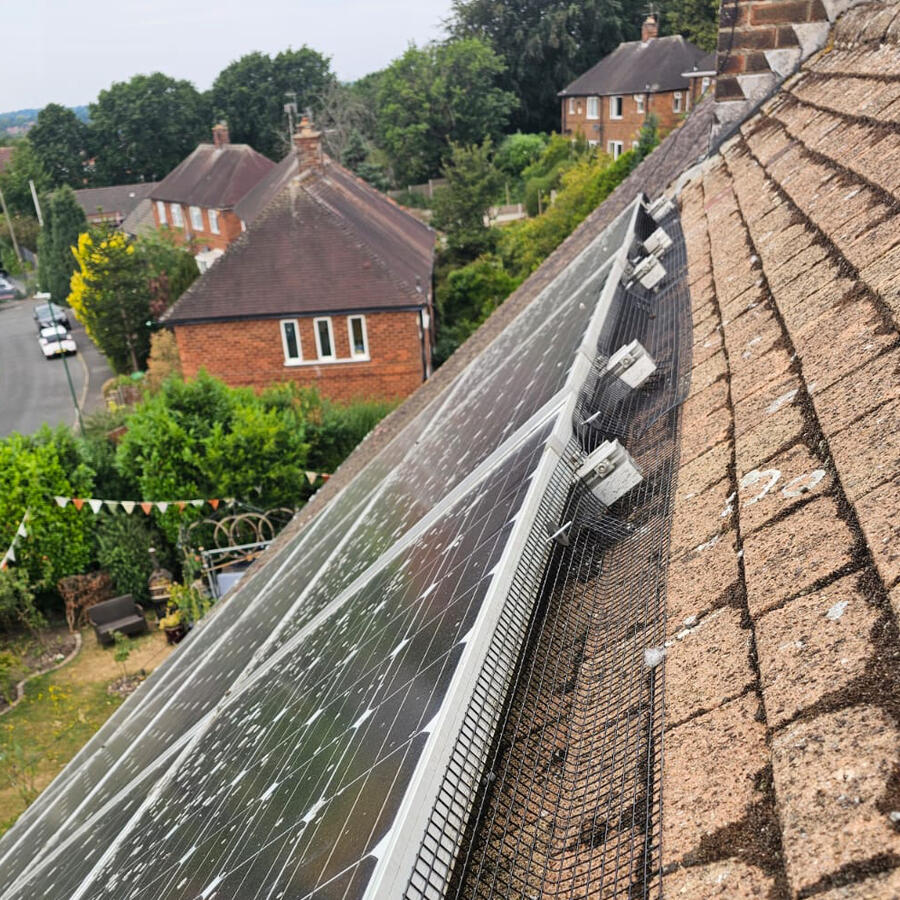 Pigeon Proofing Solar Panels in Sherwood, Nottingham