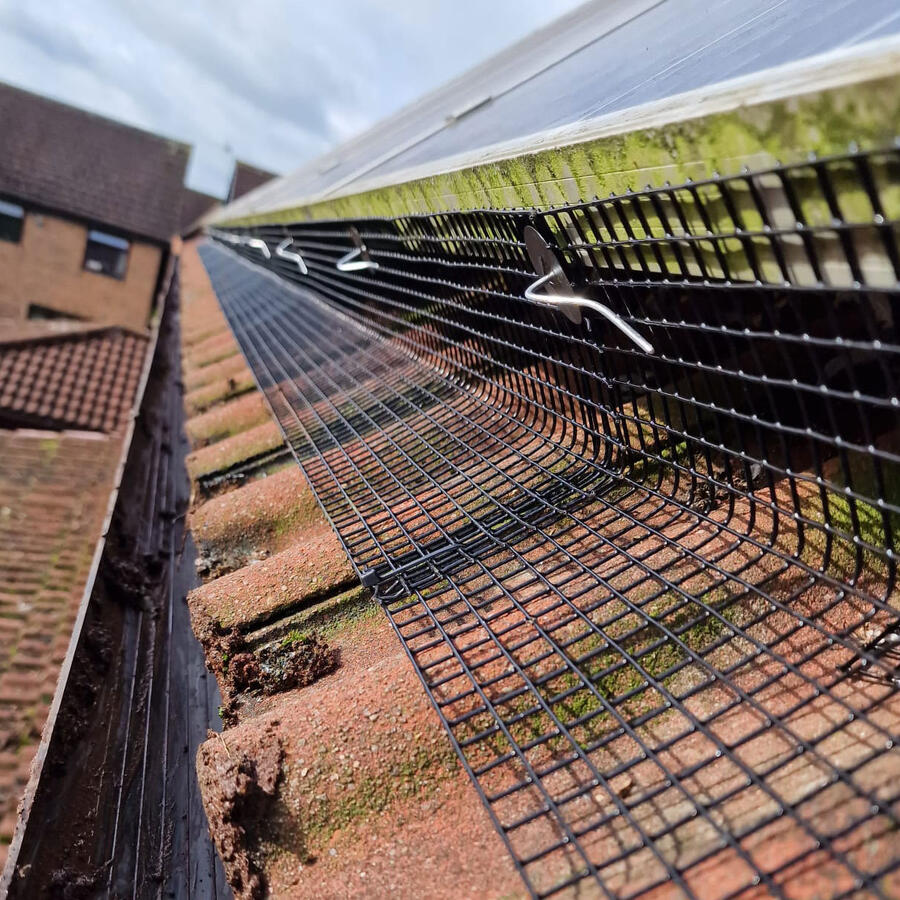 Pigeon Proofing Solar Panels in Nuthall