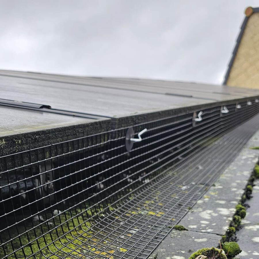 Protecting Solar Panels From Pigeons in Oakham