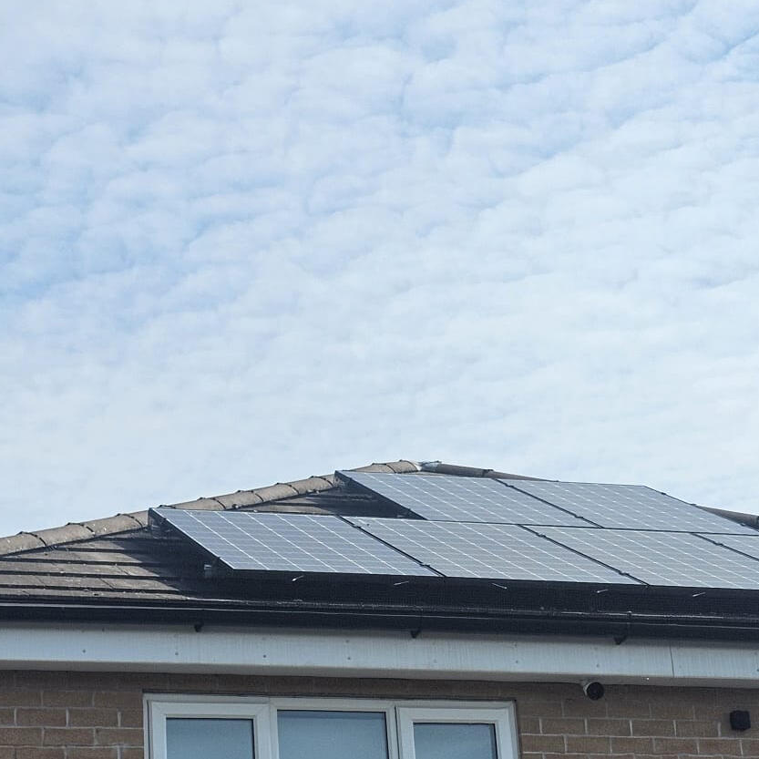 Protecting Solar Panels from Pigeons in Radcliffe-on-Trent