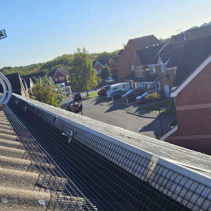 Protecting Solar Panels From Pigeons in Thurcroft