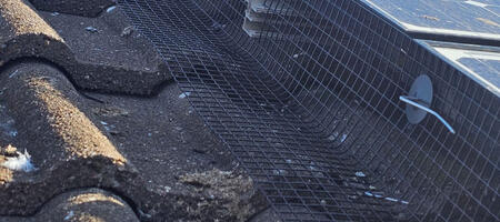 Protecting Solar Panels From Pigeons in Sandiacre