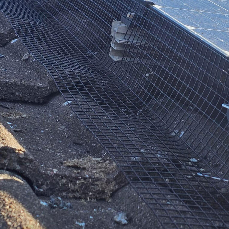 Protecting Solar Panels From Pigeons in Sandiacre