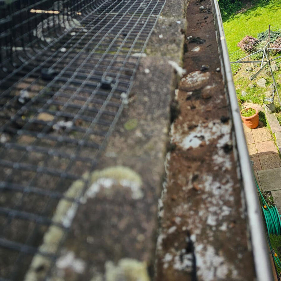 Preventing Pigeons From Nesting Under Solar Panels in Sandiacre