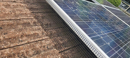 Preventing Pigeons From Nesting Under Solar Panels in Shirebrook