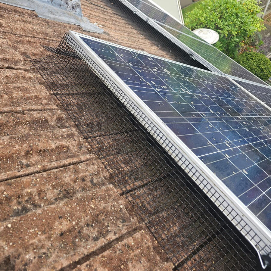 Preventing Pigeons From Nesting Under Solar Panels in Shirebrook
