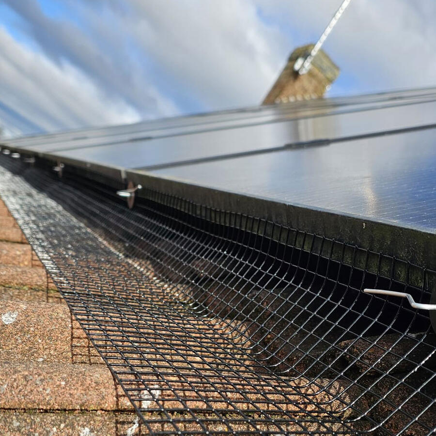 In Southwell to Install Protection from Pigeons on Solar Panels