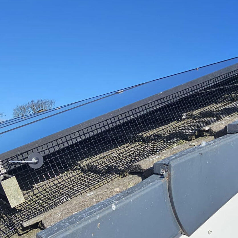 Pigeon Proofing Solar Panels in Stapleford