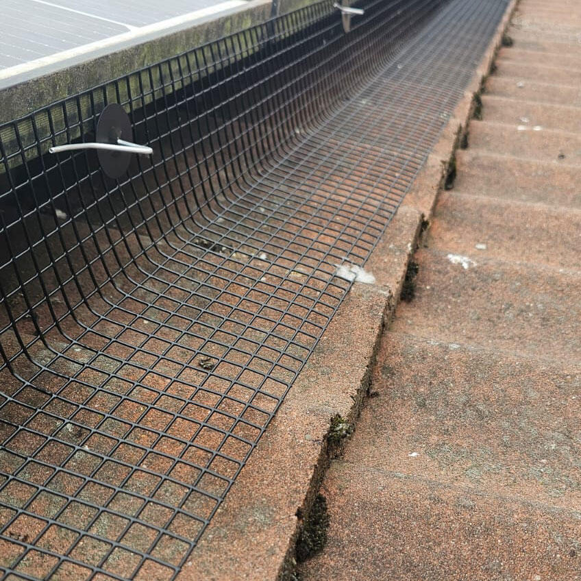 Protecting Solar Panels From Nesting Pigeons in Sutteon-in-Ashfield