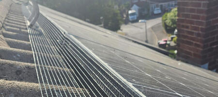 Pigeon Proofing Solar Panels in Tamworth