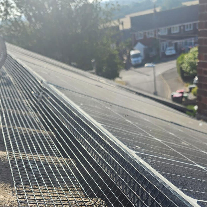 Pigeon Proofing Solar Panels in Tamworth