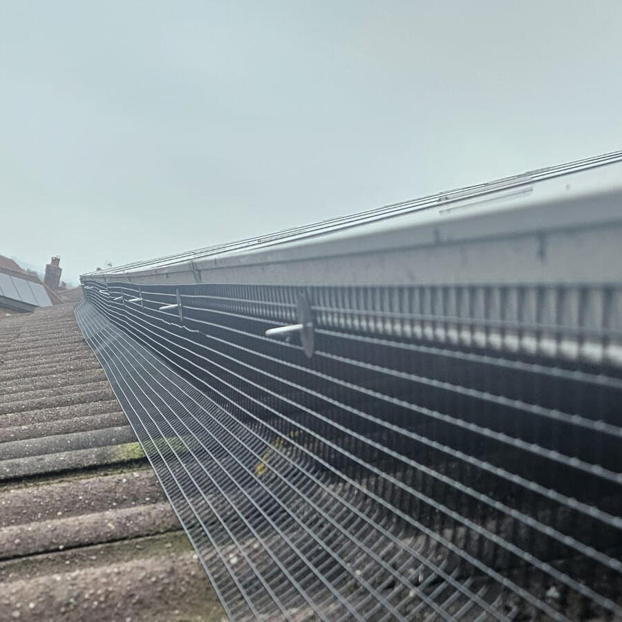 Pigeon Proofing Solar Panels in West Bridgford