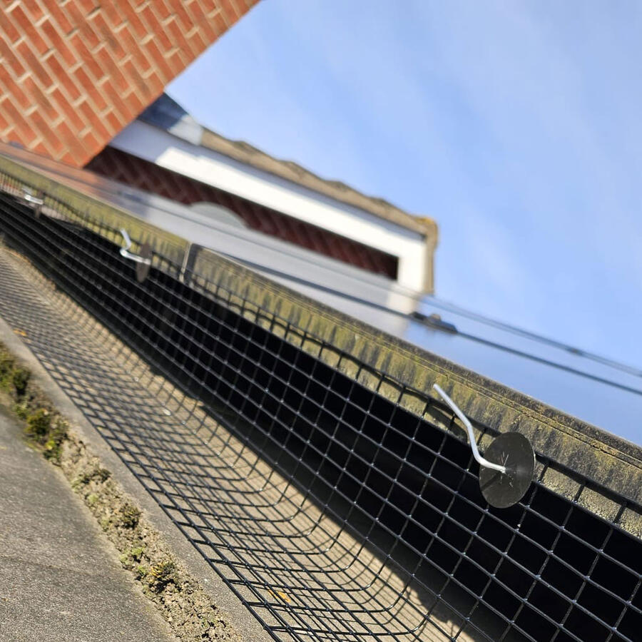 Protecting Solar Panels from Pigeons in West Bridgford