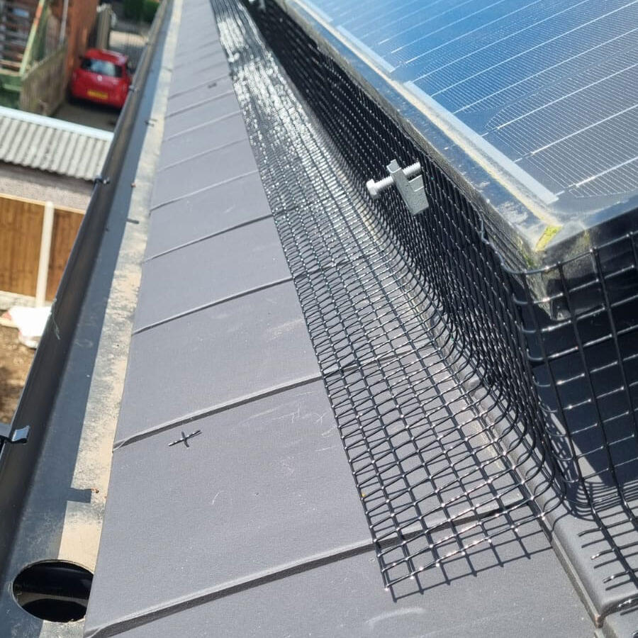 Pigeon Proofing Solar Panels in Beeston