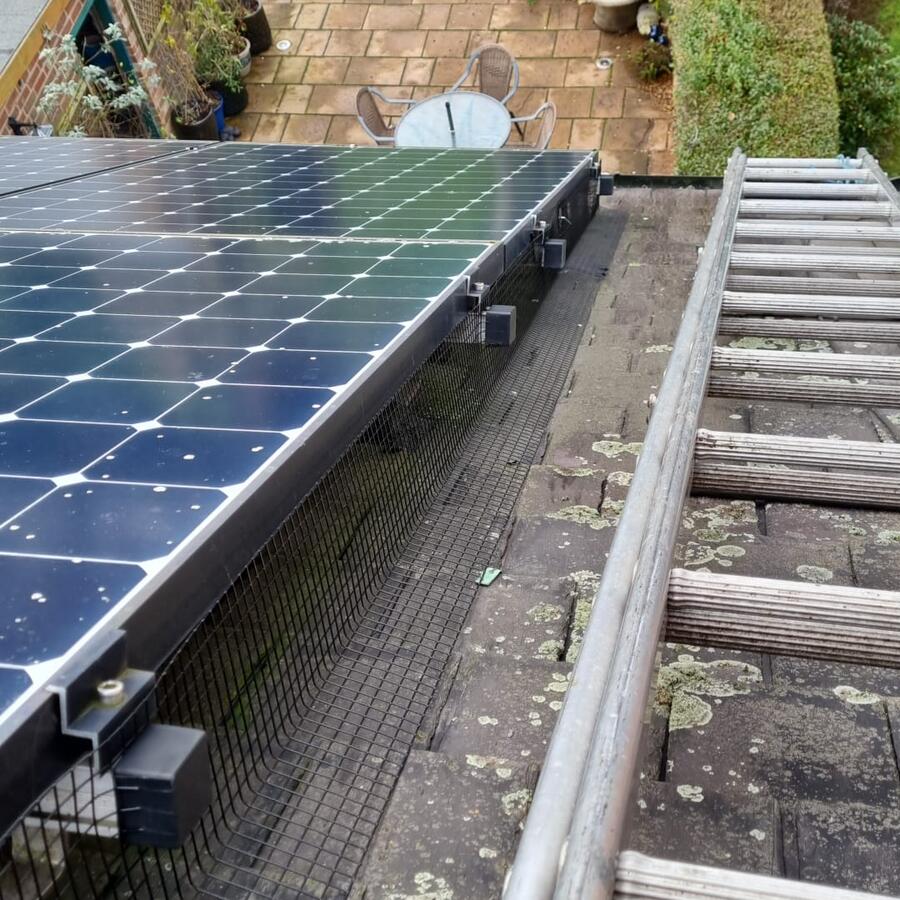 Protecting Solar Panels from Pigeons
