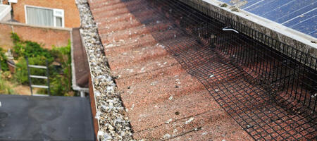 Bird Proofing Solar Panels in Radcliffe-on-Trent
