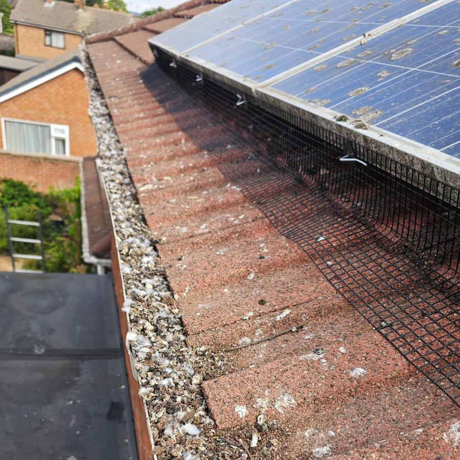 Bird Proofing Solar Panels in Radcliffe-on-Trent