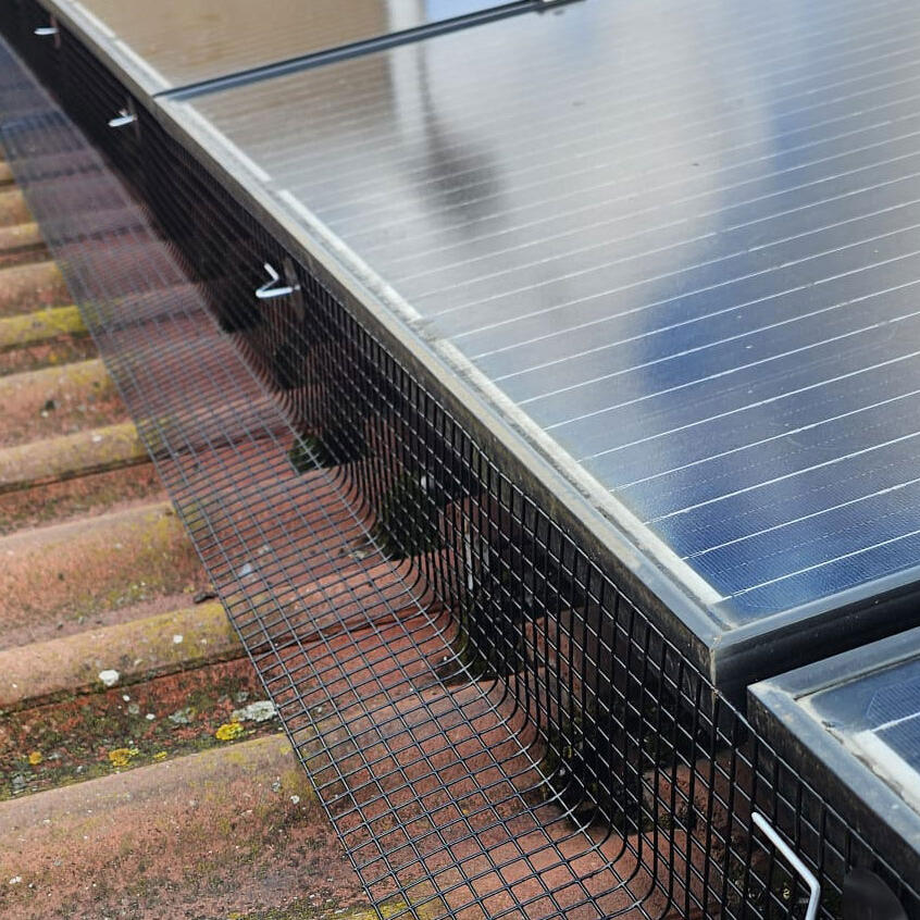 Protecting Solar Panels From Pigeons in Radcliffe on Trent