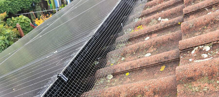 Protecting Solar Panels From Pigeons in Retford