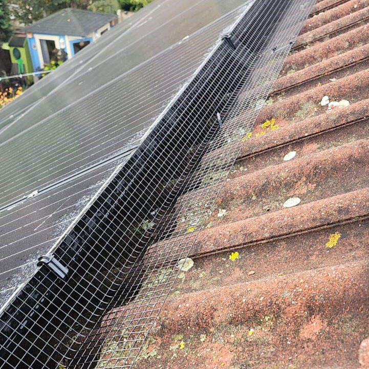 Protecting Solar Panels From Pigeons in Retford