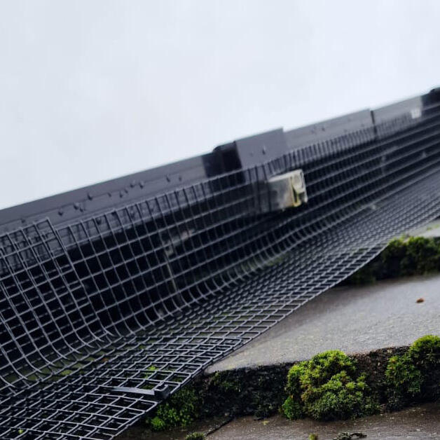 Protecting Solar Panels from Pigeons in Rotherham